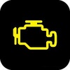 Check Engine or Malfunction Indicator Light (MIL)