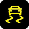 Traction Control Light